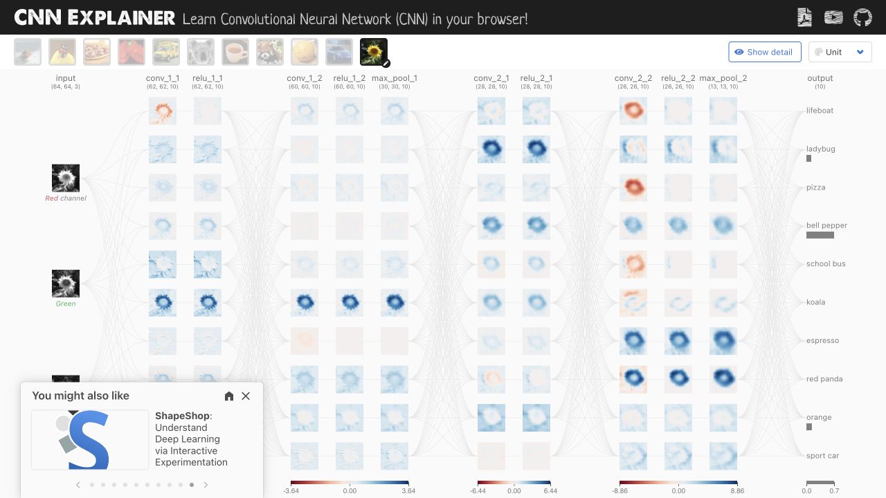 Full CNN activation maps for the uploaded public-domain sunflower